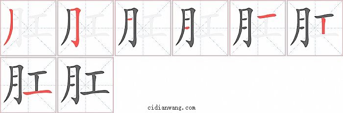 肛字笔顺分步演示图