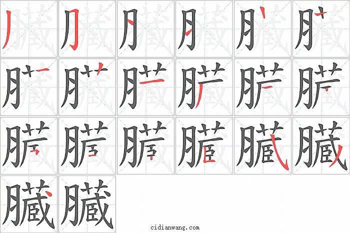 臓字笔顺分步演示图