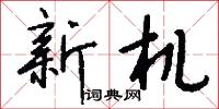 新机怎么写好看