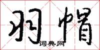 羽帽怎么写好看